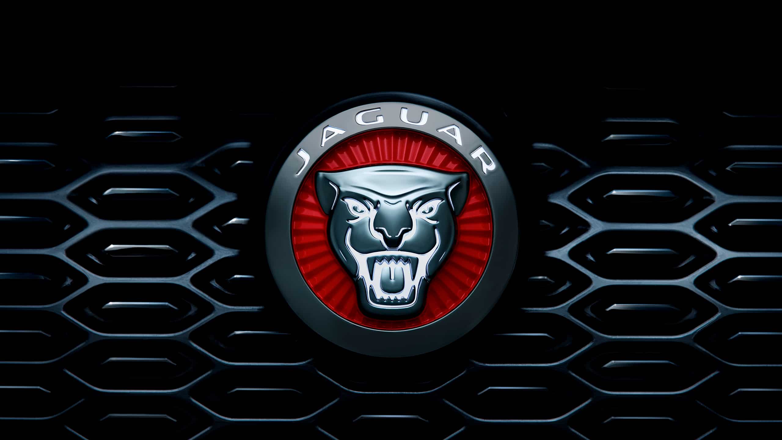 Jaguar car close up view of logo and grille 